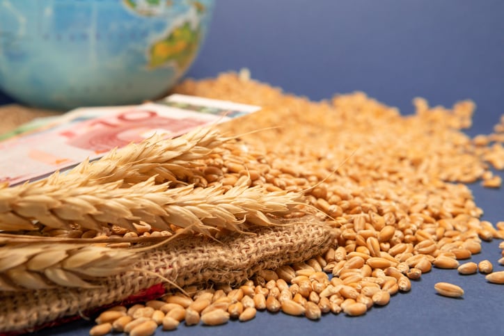 Russian grain tariffs likely to ease pain for EU farmers