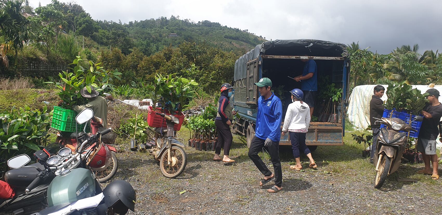UCC launches regenerative coffee pilot in Vietnam