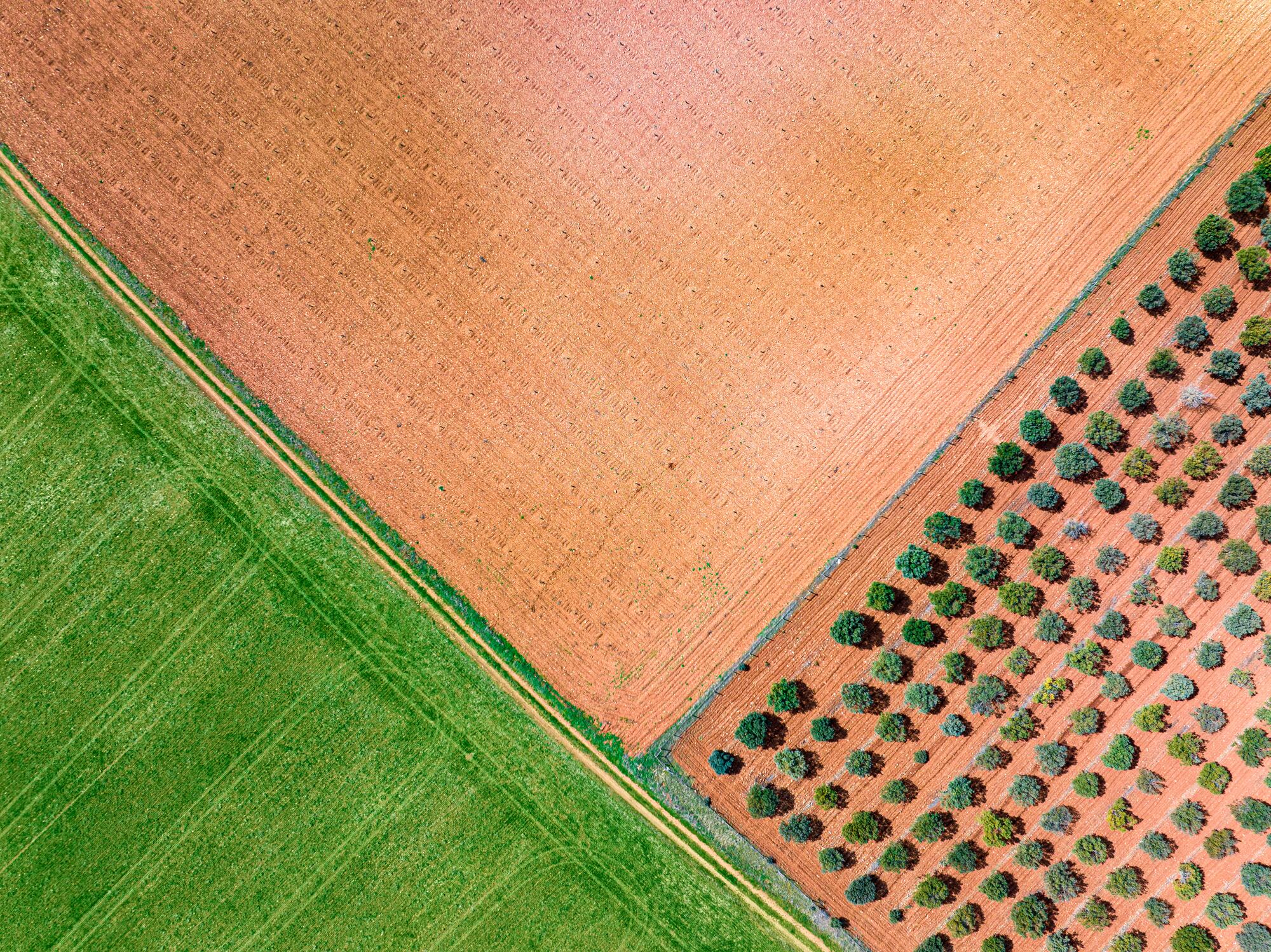 UK sustainability platform launches Spanish pilot to accelerate regenerative agriculture