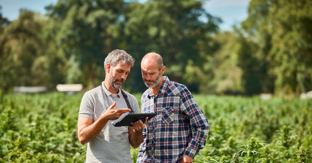 SAI Platform launches 'Regenerating Together' to tackle agriculture's measurement problem
