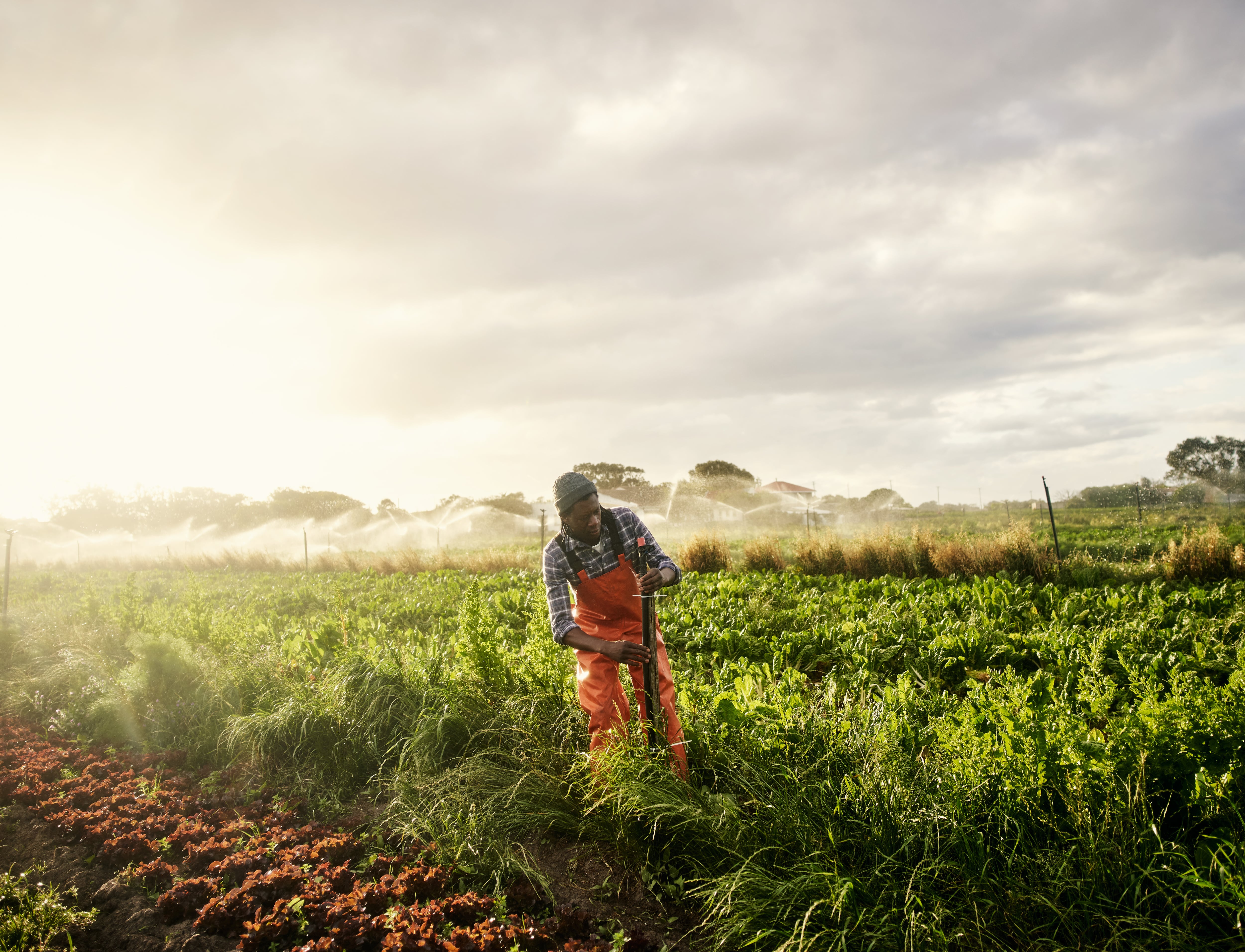 ‘Difficult, if not impossible’: Selling to smallholders a dead end for agtech in Africa