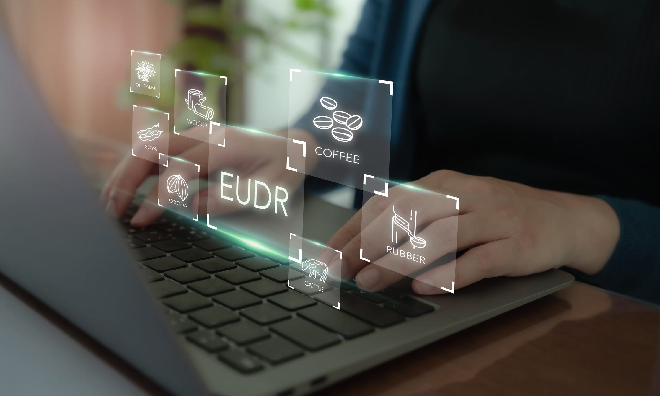 FEDIOL presses EU for urgent clarity on EUDR rollout