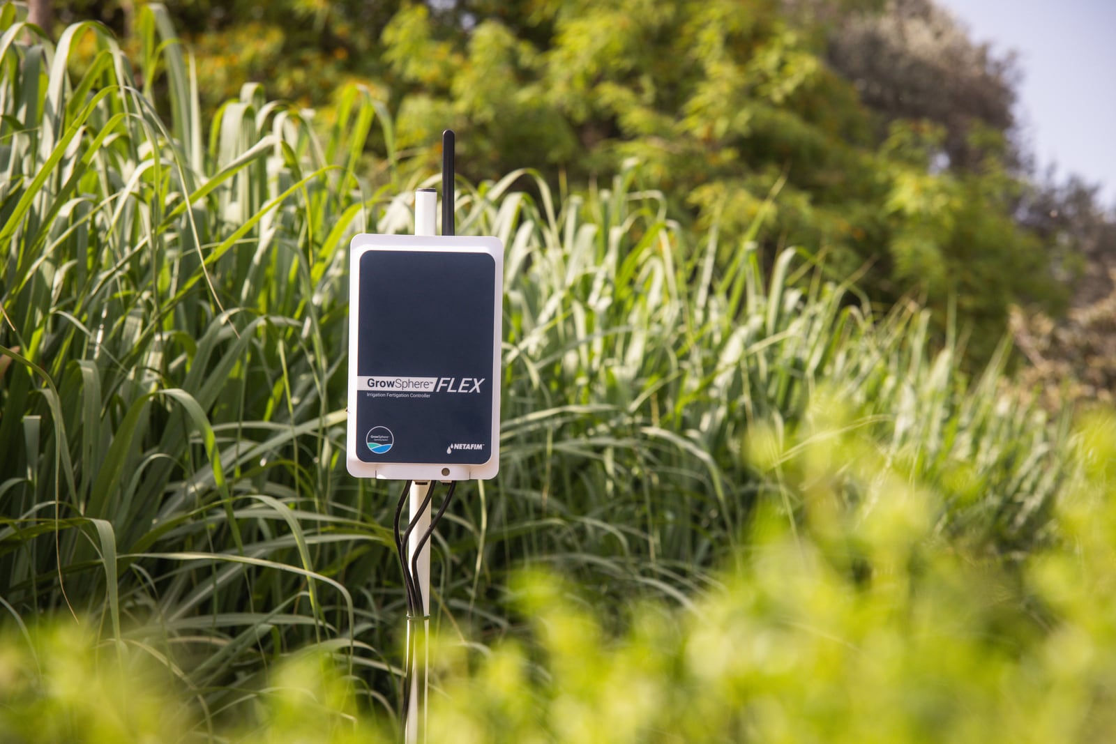 Higher tech, lower costs: Netafim to roll out digital farming system for smallholders in Q2 2026, targets Asia