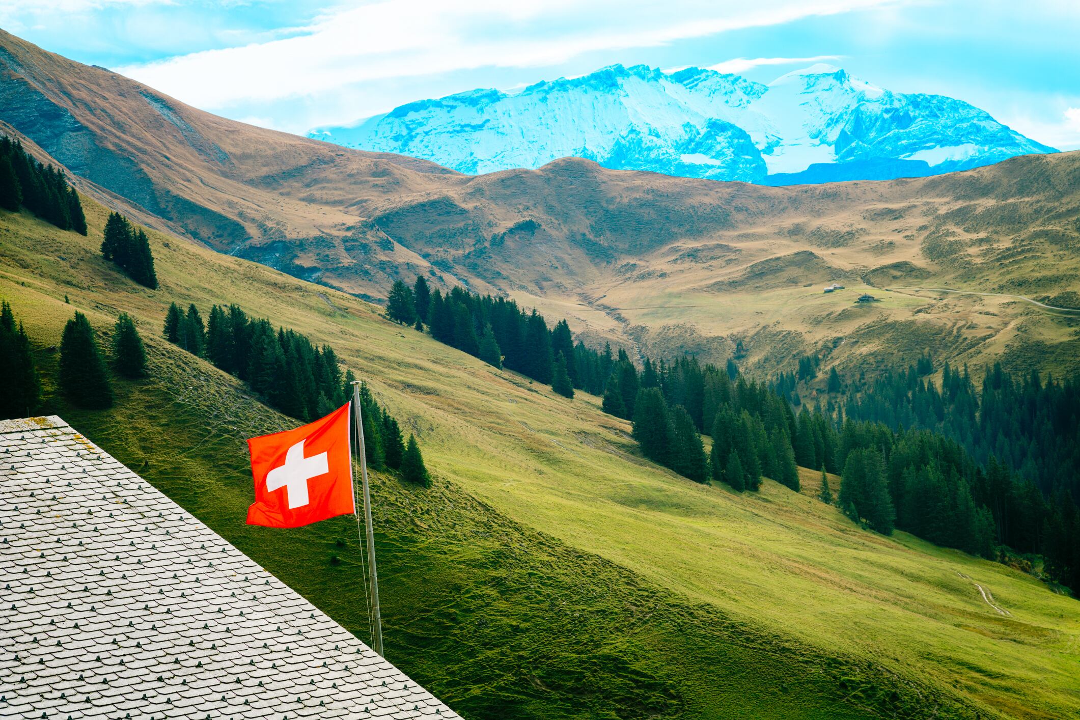 Switzerland’s picturesque agricultural landscape belies the challenges of scaling its next generation of agtech innovators.