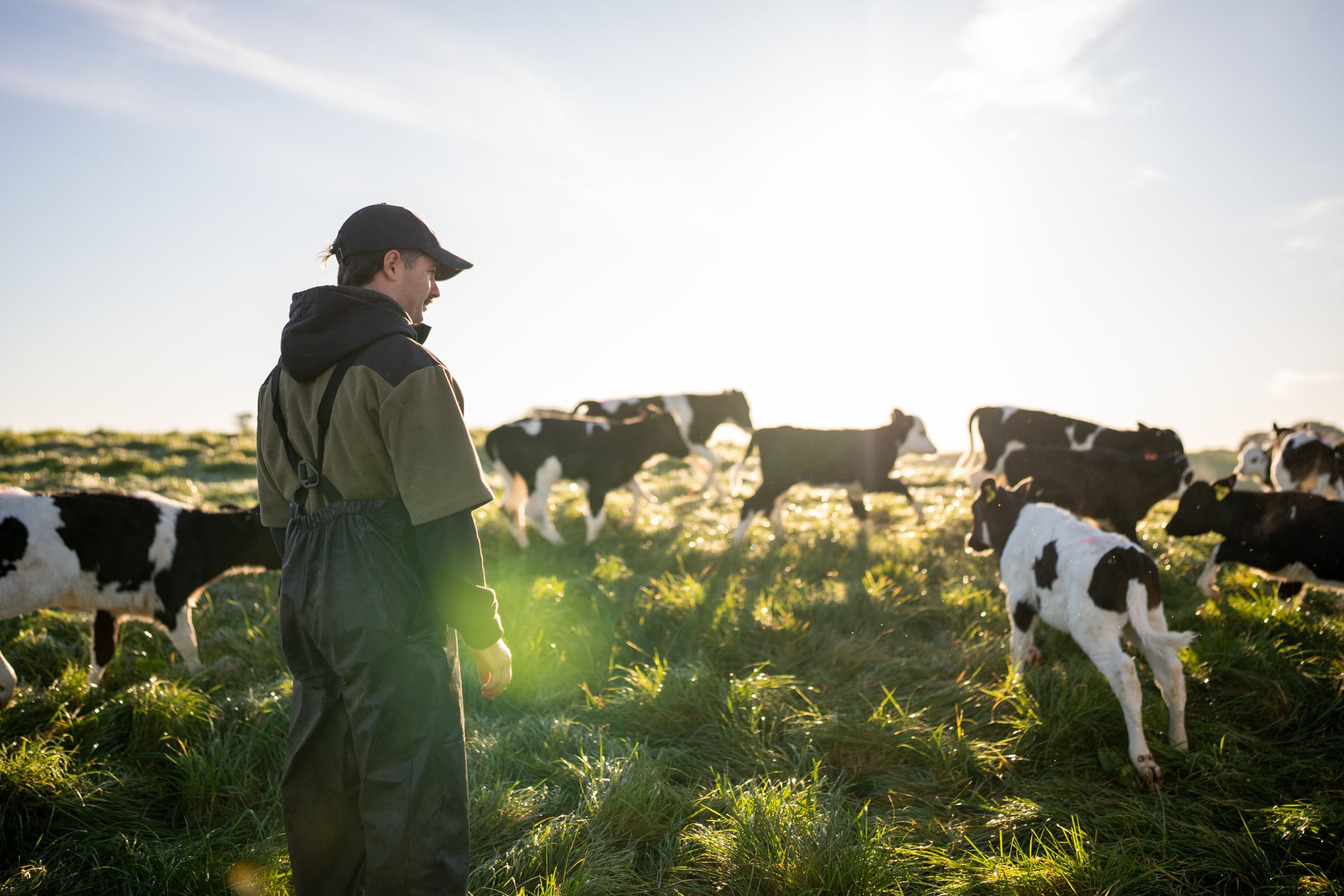 What’s causing farmers to consider quitting dairy?