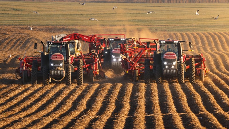 A potato harvester in the field