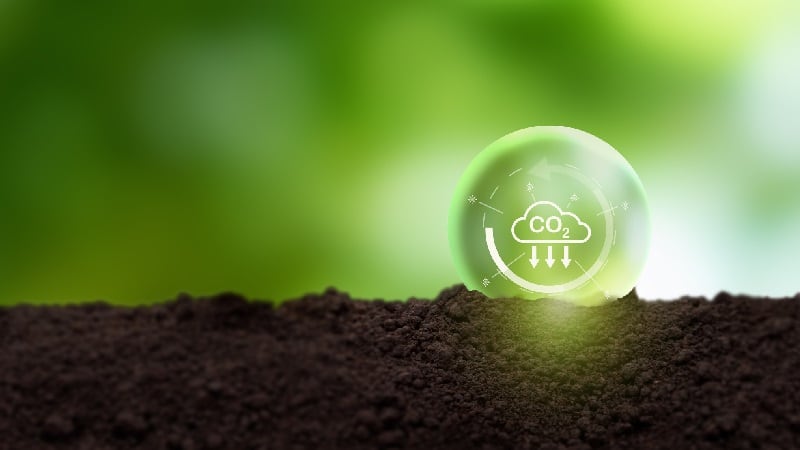 Carbon market analysis: Are soil-based credits better than forestry offsets?