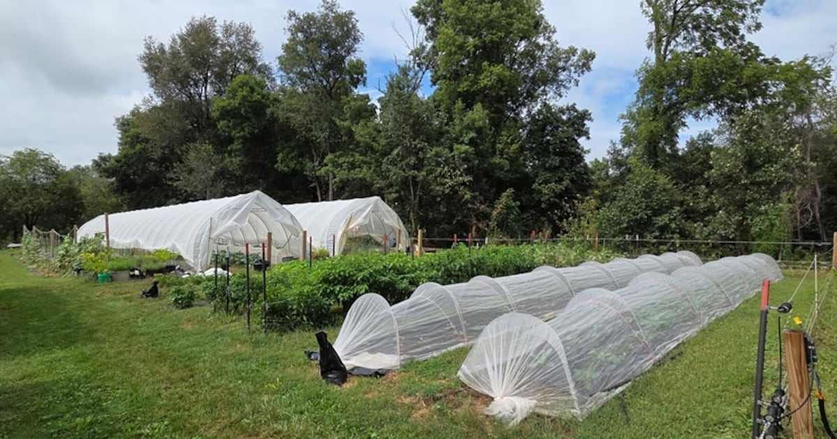From corporate America to farming in the Driftless: The owners of Polsgrove Hill Farm share their story