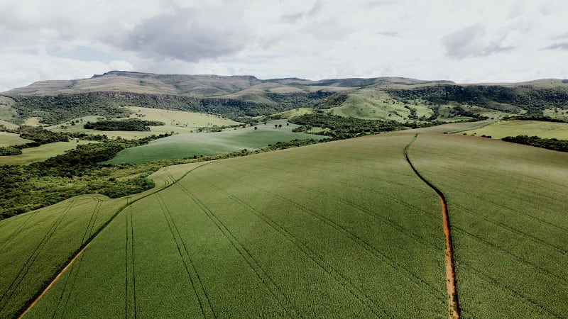Biofungicide start-up Ascribe Bio closes $12m Series A round to support global rollout