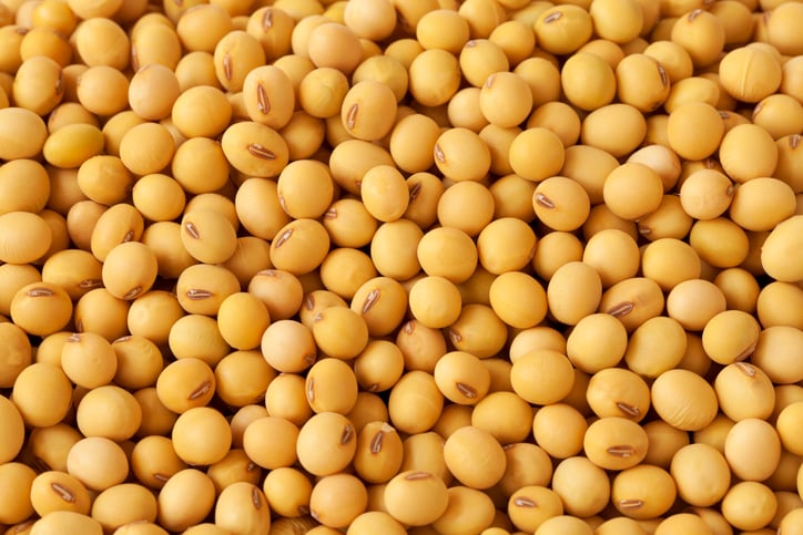 Trypsin inhibitor exposure could result from using alternative soybean ingredients in feed
