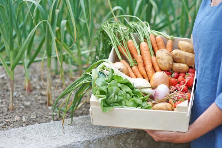 Trade bodies have called for the new Prime Minister to work with the food and drink sector.