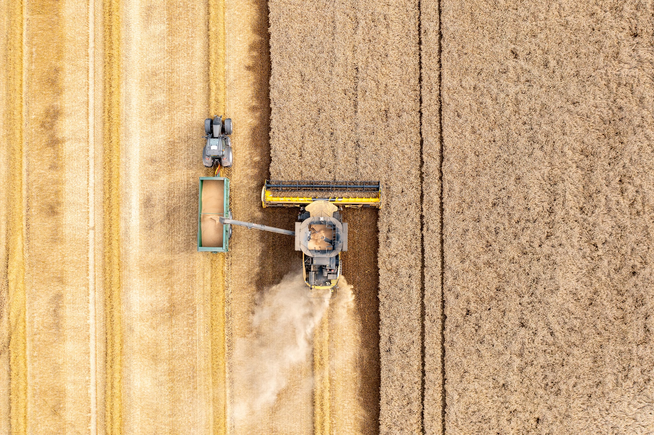 From refugee to agtech pioneer: How SporeSense hopes to rewrite the rules of crop protection