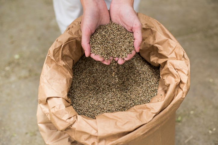 Hemp is on its way