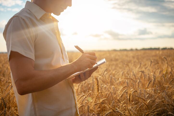 Poor outlook for EU cereal production