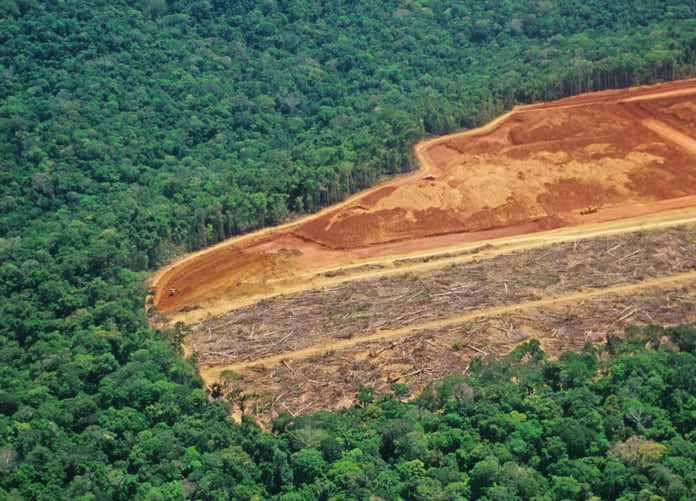 Industry groups still find fault with proposed EU deforestation law