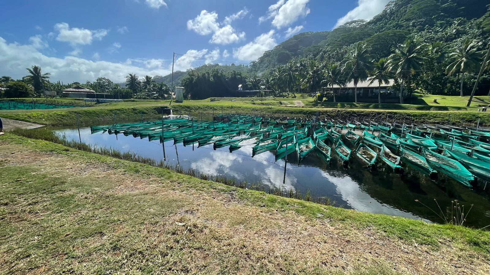 Tahiti Marine