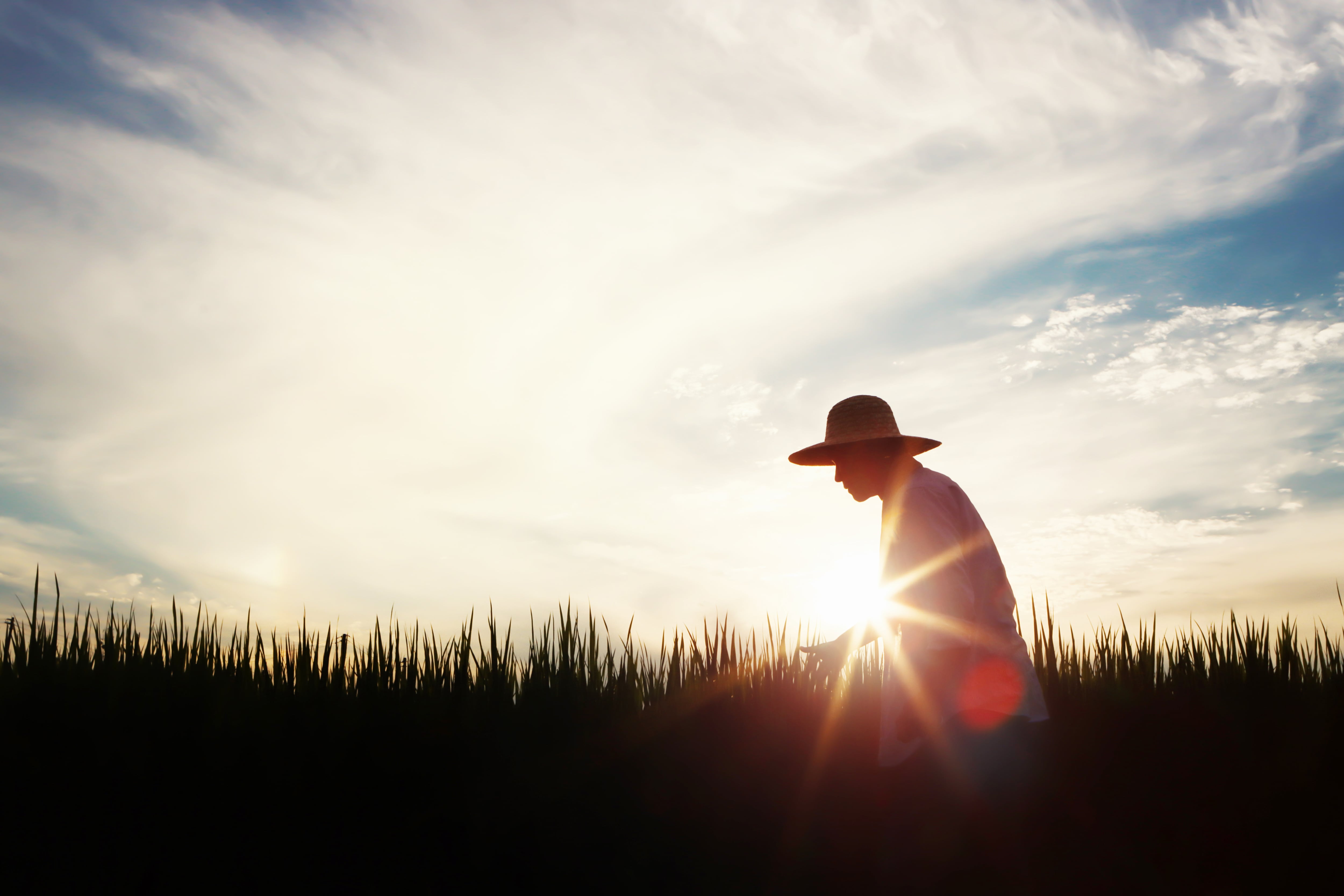 Agriculture: the next hero of South Korea’s economic miracle?