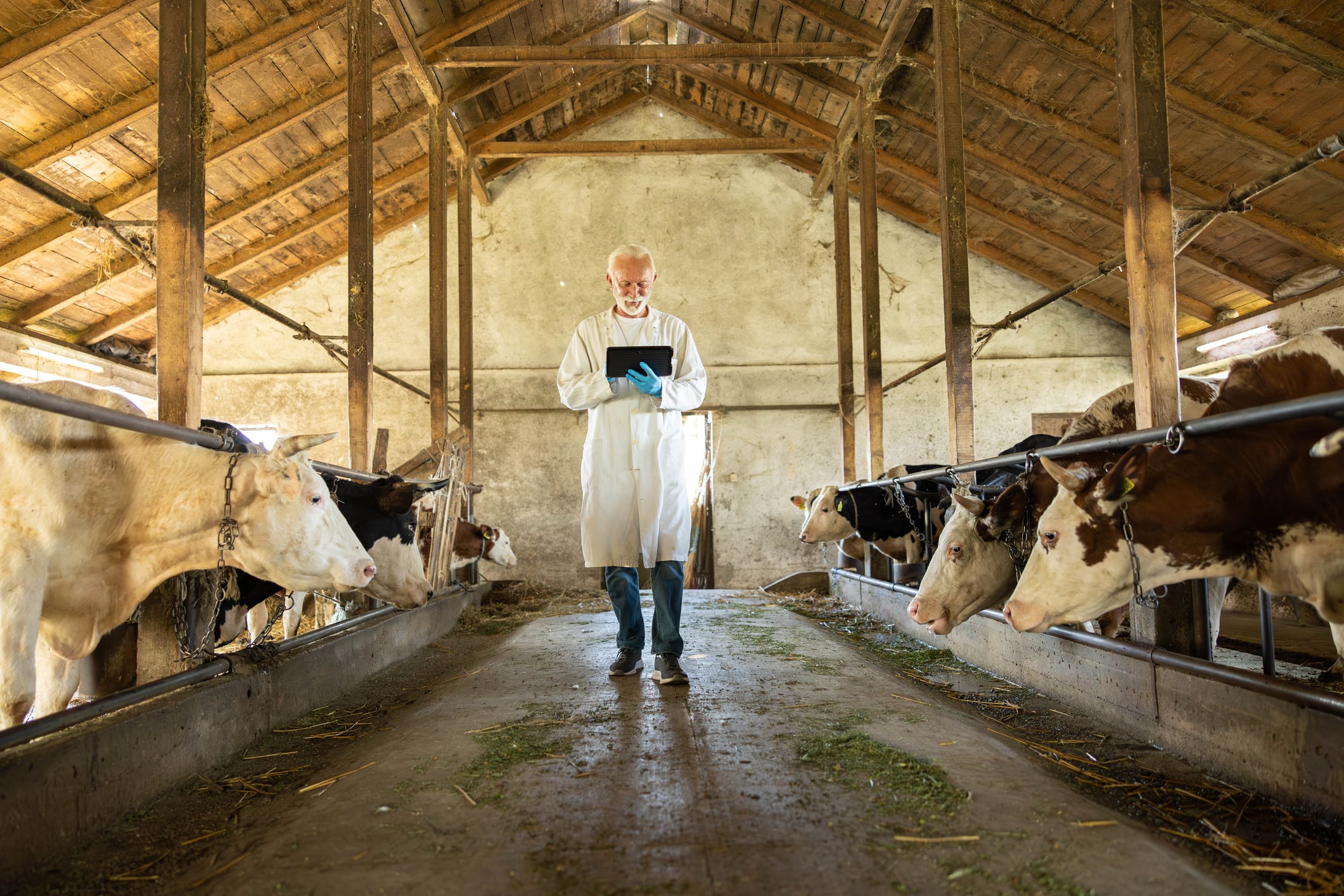 Tesco urges national farm data framework to safeguard UK food security