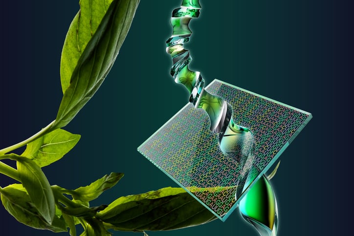 Gene editing to become the next big thing in Asia’s agtech scene – expert panel