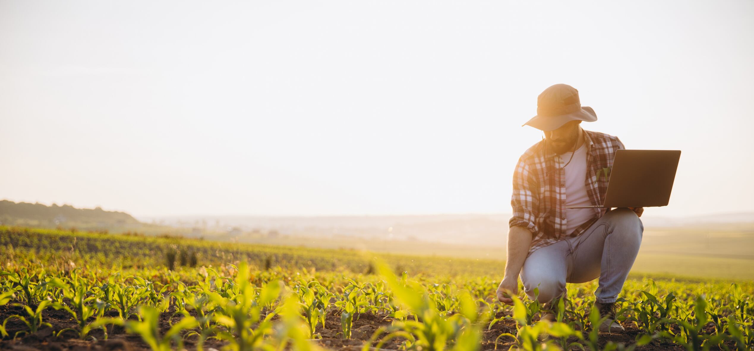 Varda Foundation's mission is to make soil and farm data easier to share and use, unlocking new opportunities for farmers, researchers, food companies and policymakers.