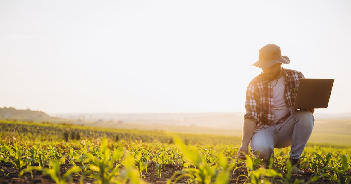 Beneath our feet: Why Varda Foundation believes soil data could become agriculture’s most valuable asset