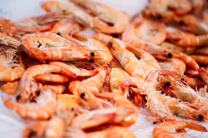 RaboResearch: 2023 is year to forget for shrimp industry, acute fishmeal shortage forecast, salmon supply back on track