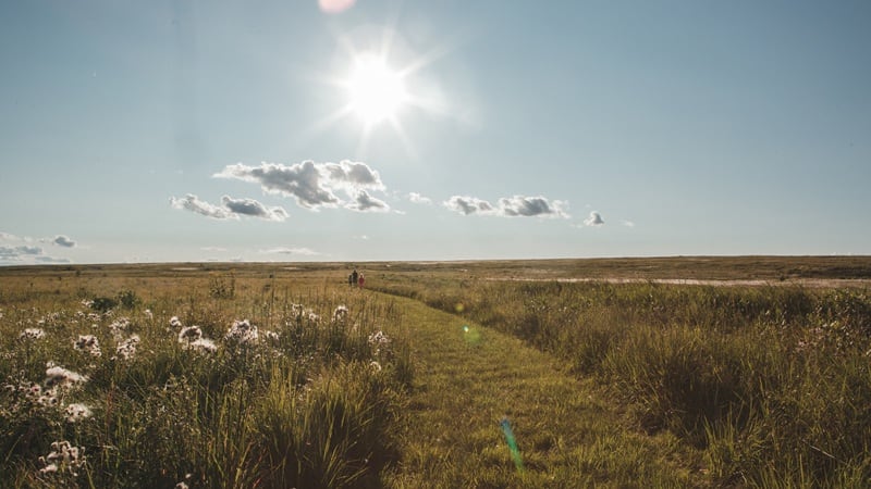 Whole Foods Market, Mad Agriculture raise over $1m to build a biodiversity highway