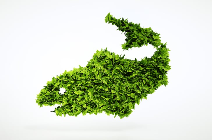 Aquaculture: Can we scale up novel feed raw materials in a sustainable way?