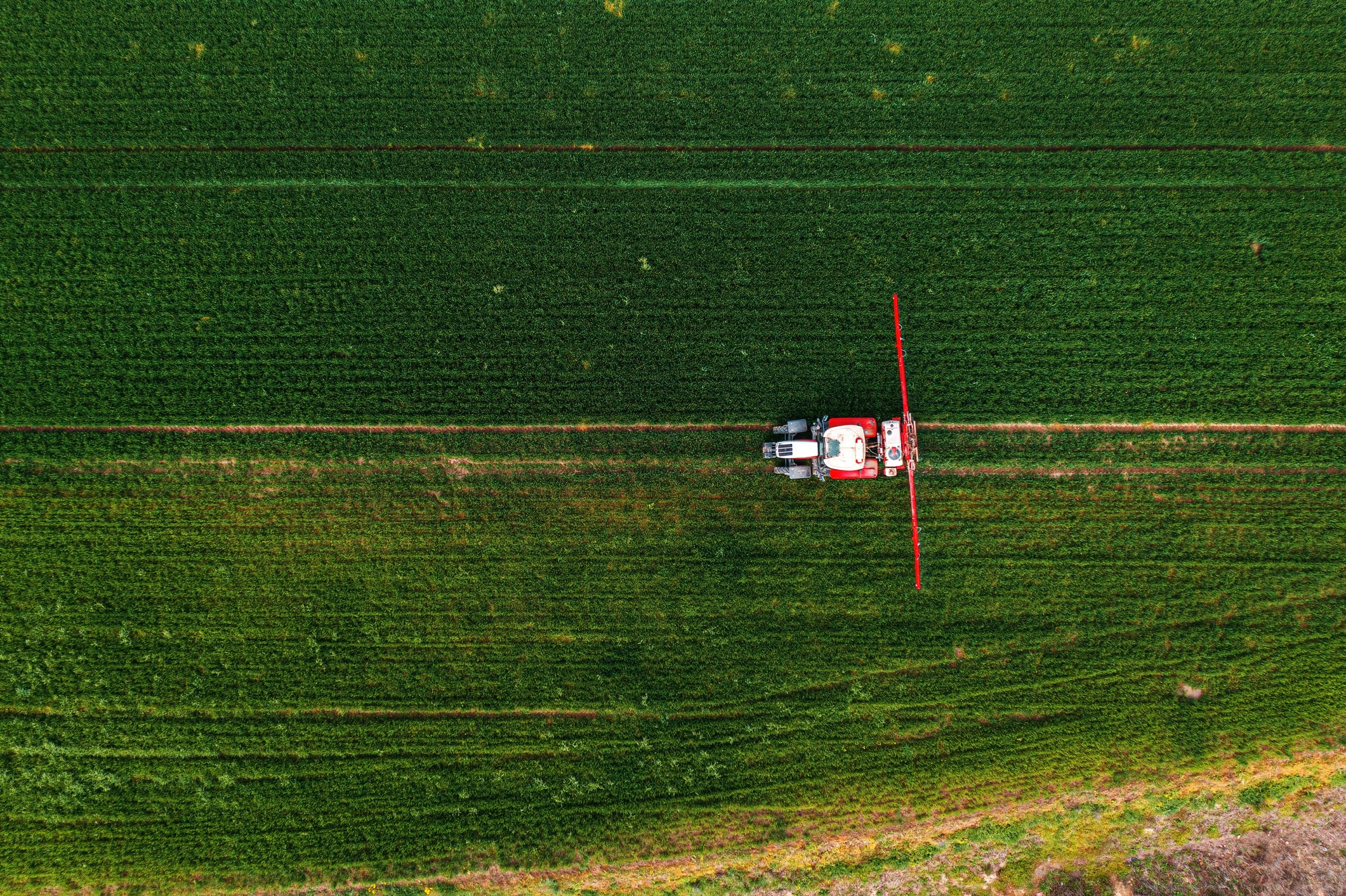 BASF scales up biologicals with new BioHub to boost resilience and flexibility
