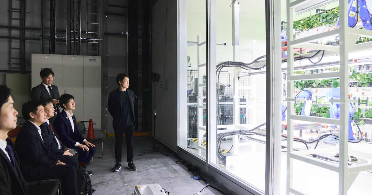 ‘We’ve only scratched the surface’: Oishii ramps up research on plant biology to unlock future growth in vertical farming