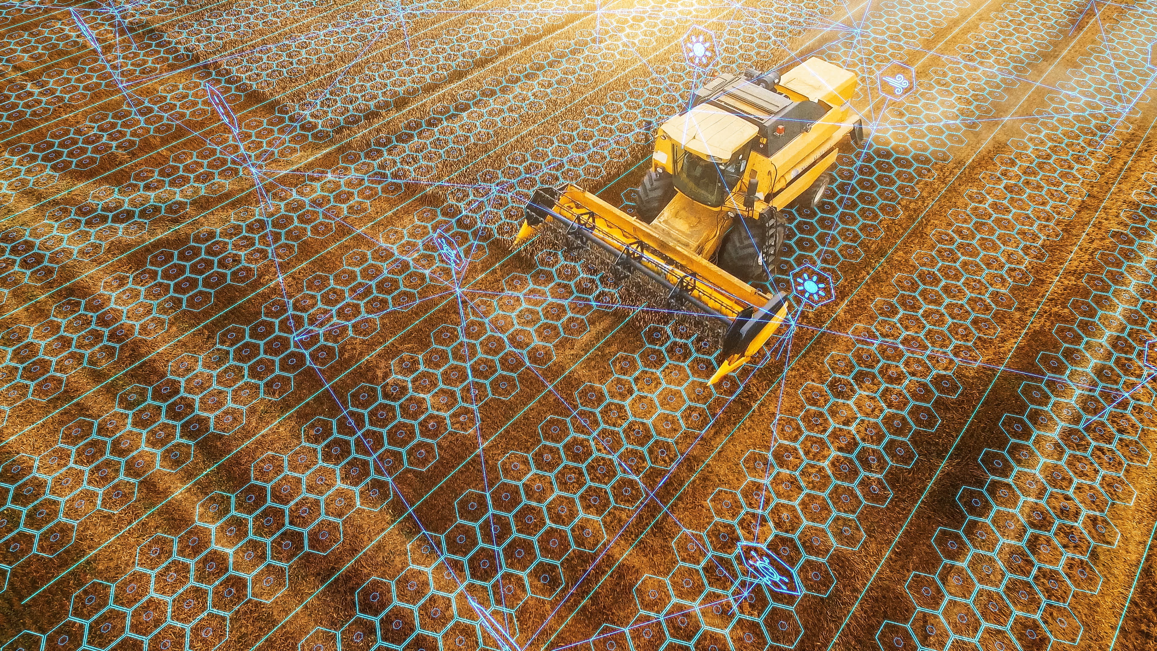 AI tools promise major gains in farm efficiency. But a new UN report warns their growing water, land and energy footprint must be managed carefully to ensure net environmental benefit.