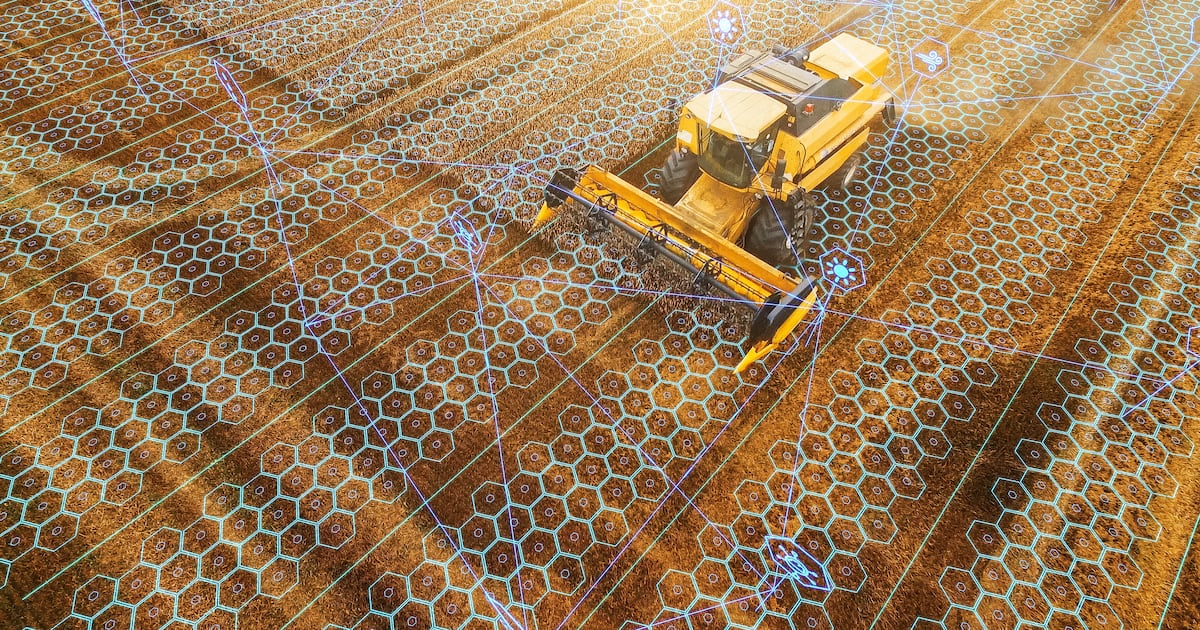 AI’s hidden footprint: UN warns of soaring resource demands – but agribusiness backs net gains in the field