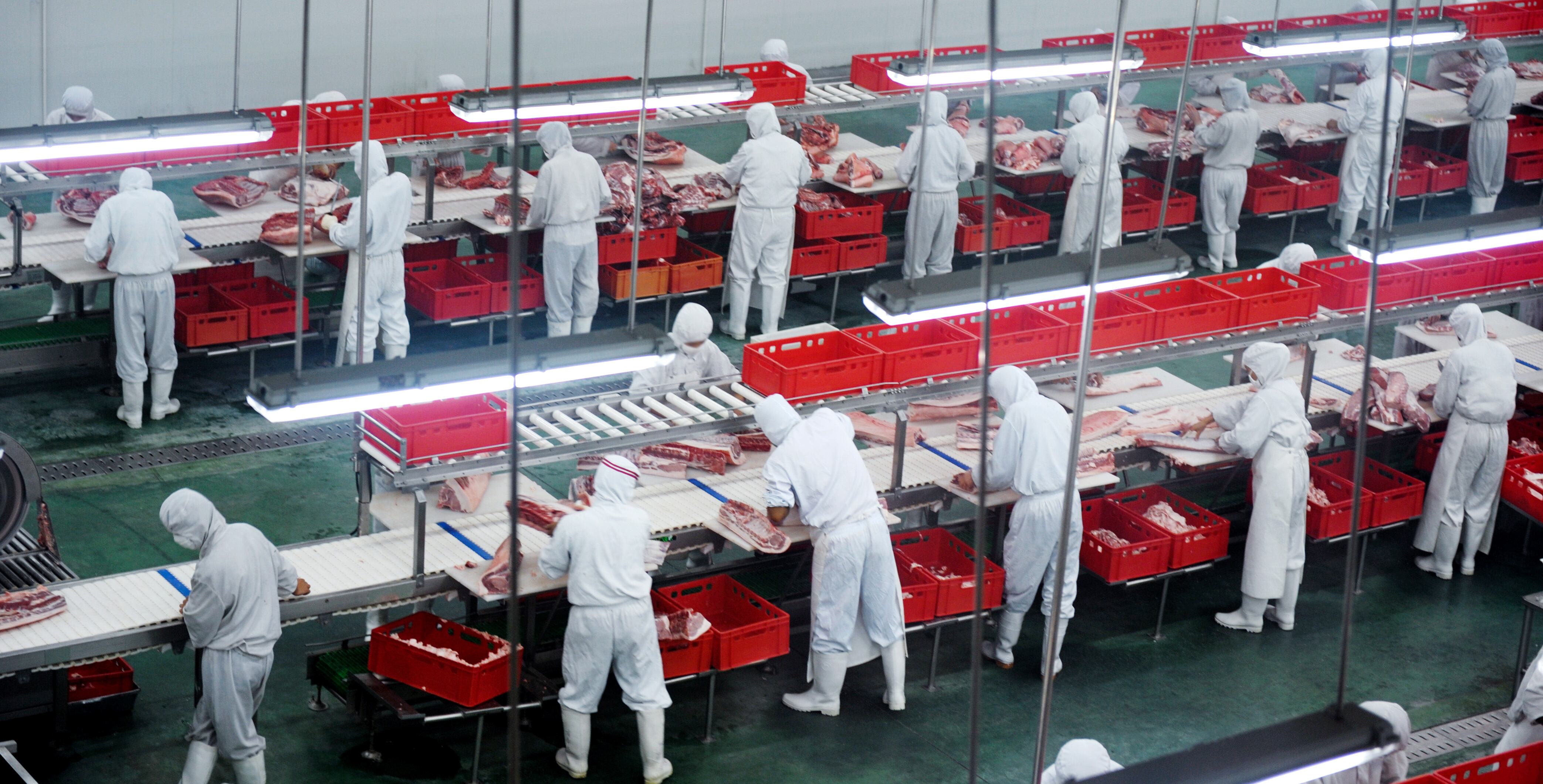 China’s pork production forecast to expand in 2025