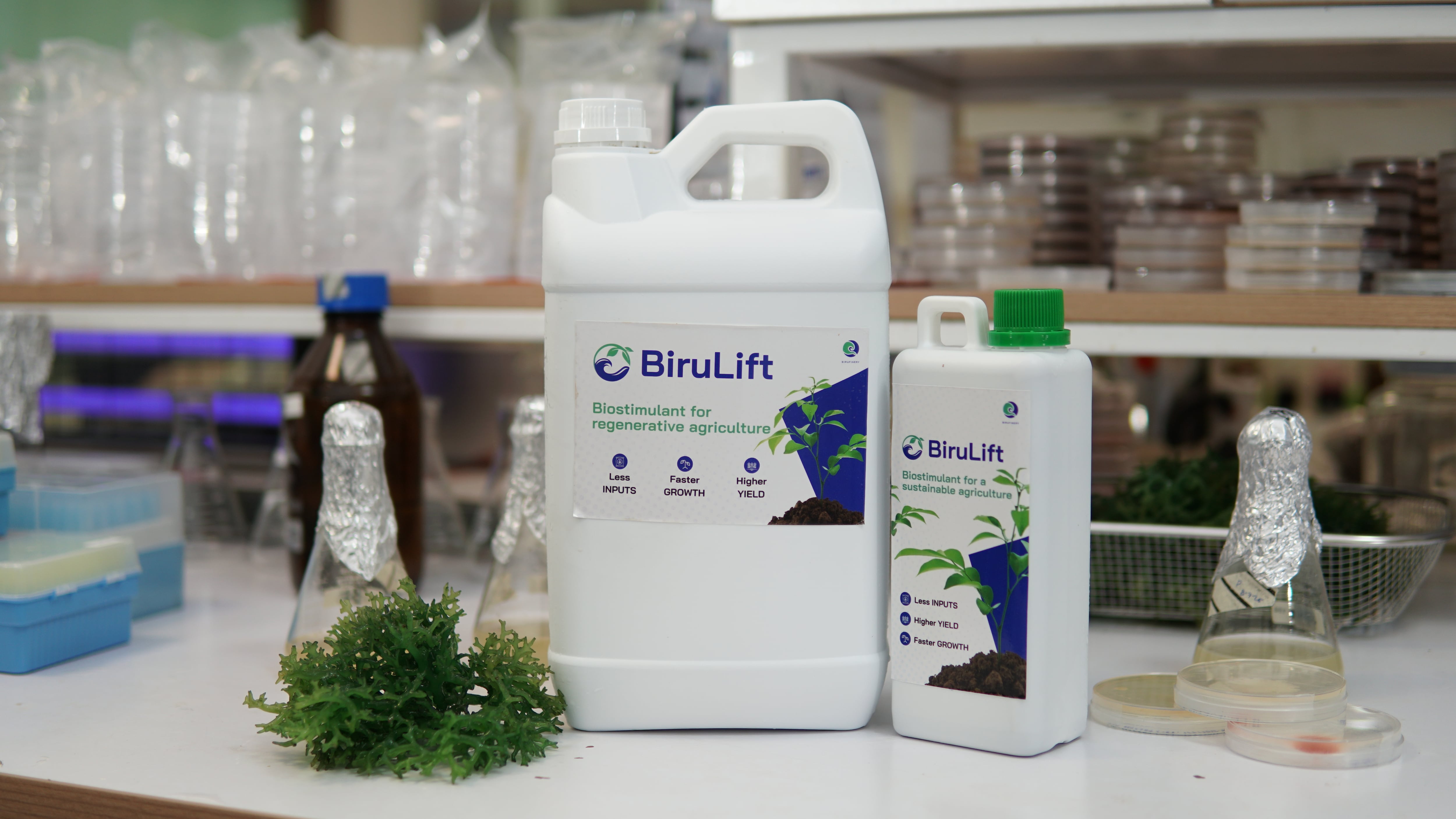 ‘The future of agriculture’: Birufinery sets out to deliver affordable, scalable biostimulants for developing countries