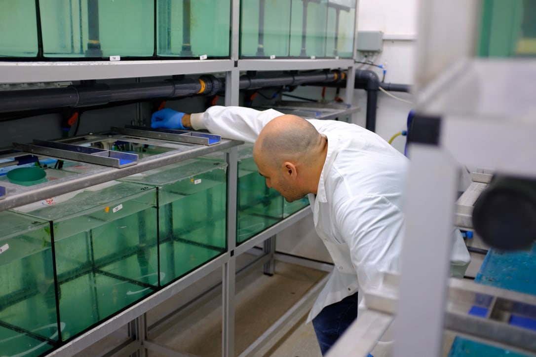 ViAqua secures $8.25m in funding to scale RNA platform in aquaculture