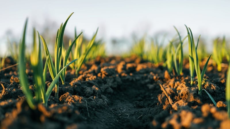 Soil health intelligence start-up Miraterra closes oversubscribed seed round with $16m CAD