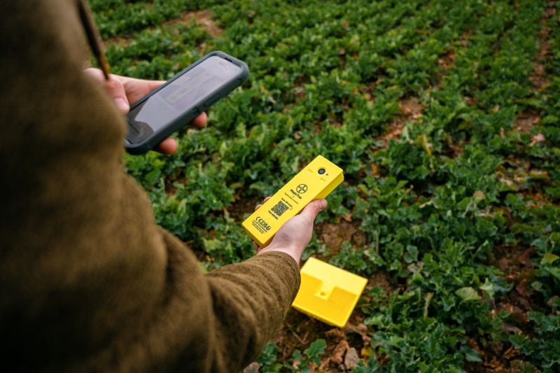Bayer’s MagicTrap 2 aims to provide growers with earlier intelligence on pest pressure at a time when oilseed rape production continues to face mounting challenges from pests.