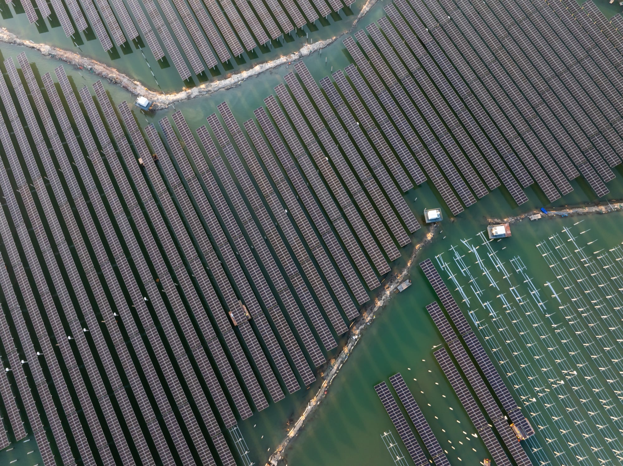 Chinese scientists tour Stirling aquaculture hub amid rising UK security concerns