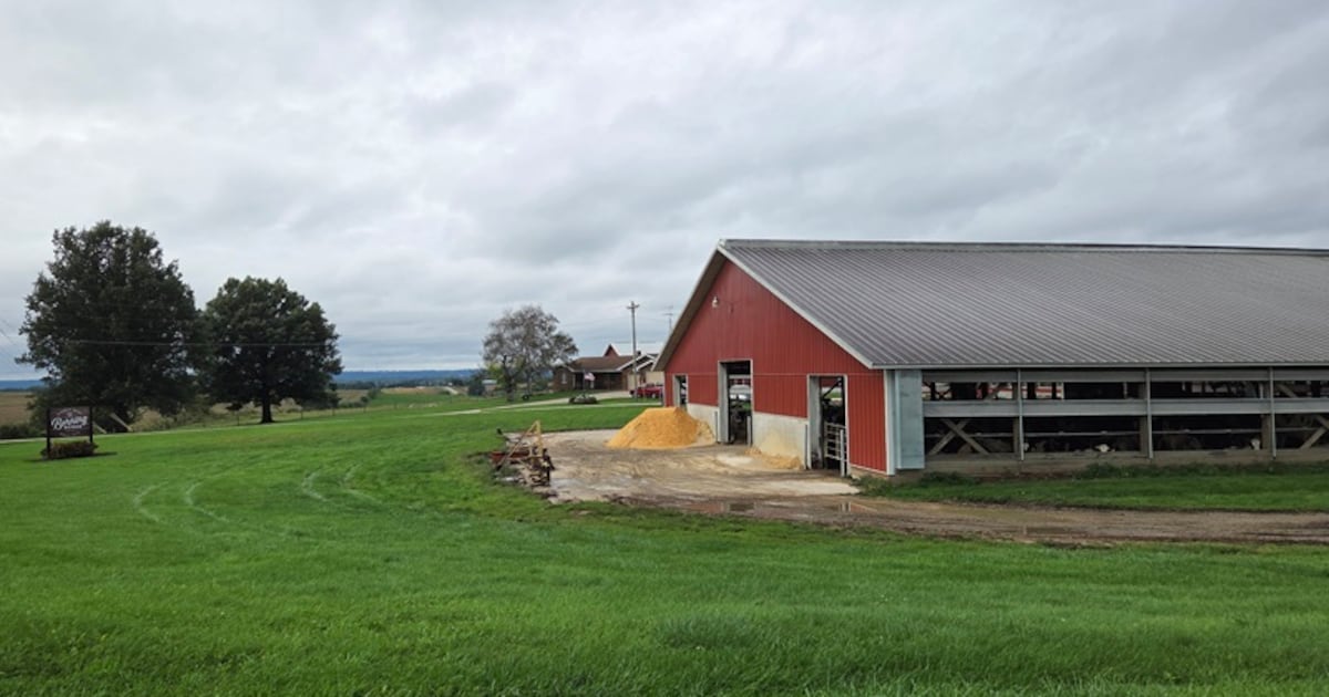 More than milk: How Berning Acres is diversifying revenues with agritourism