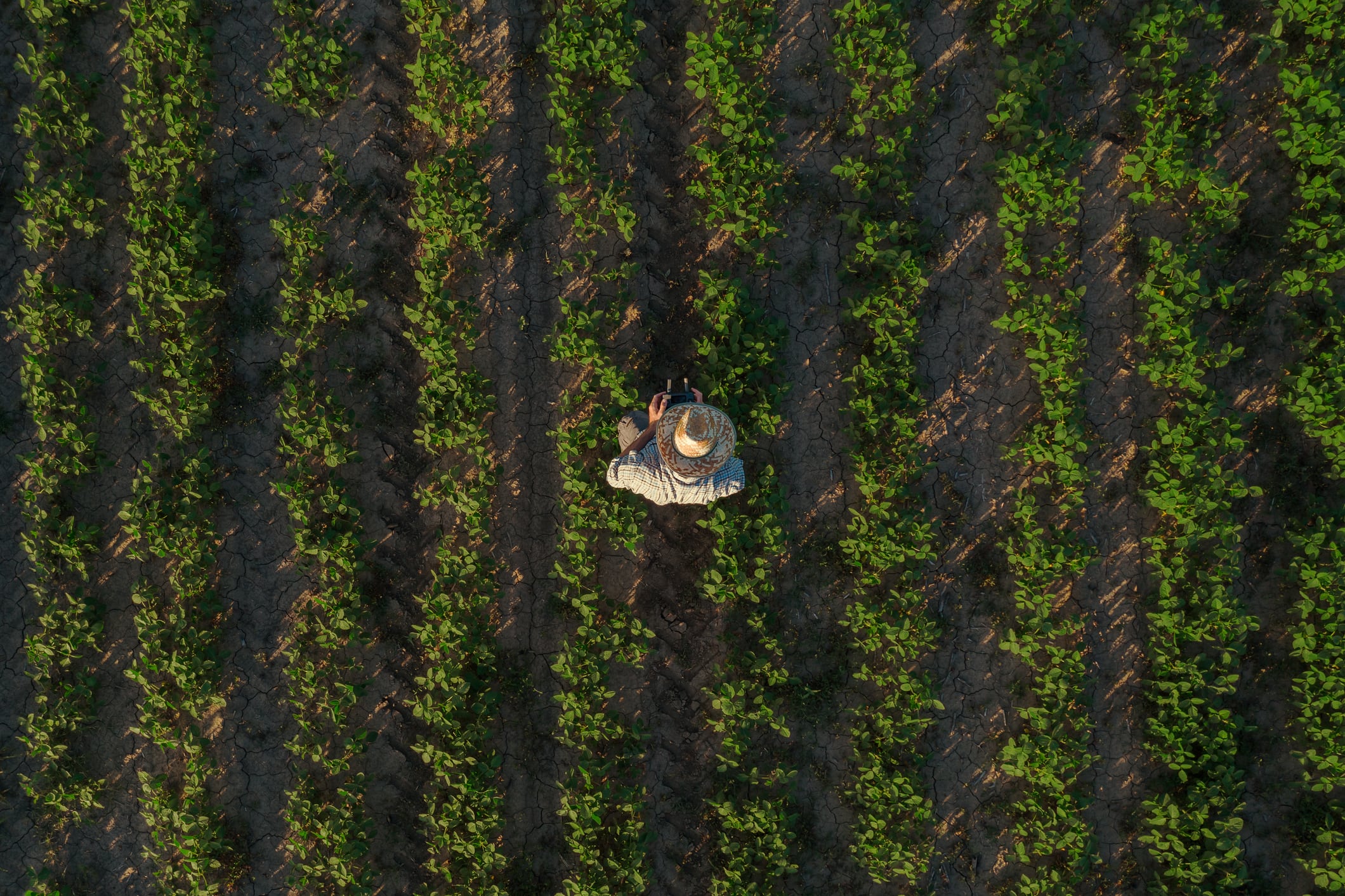 Tesco relaunches Agri-tech Challenge to fast-track innovation onto UK farms