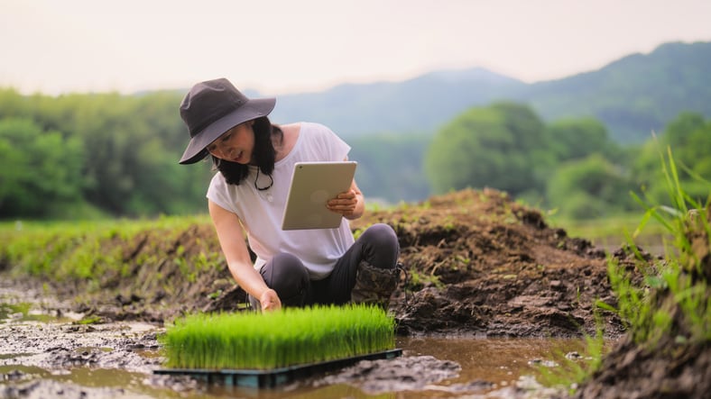 Women as ‘key economic actors’: South Korea’s latest five-year plan reinforces women’s role in agriculture 