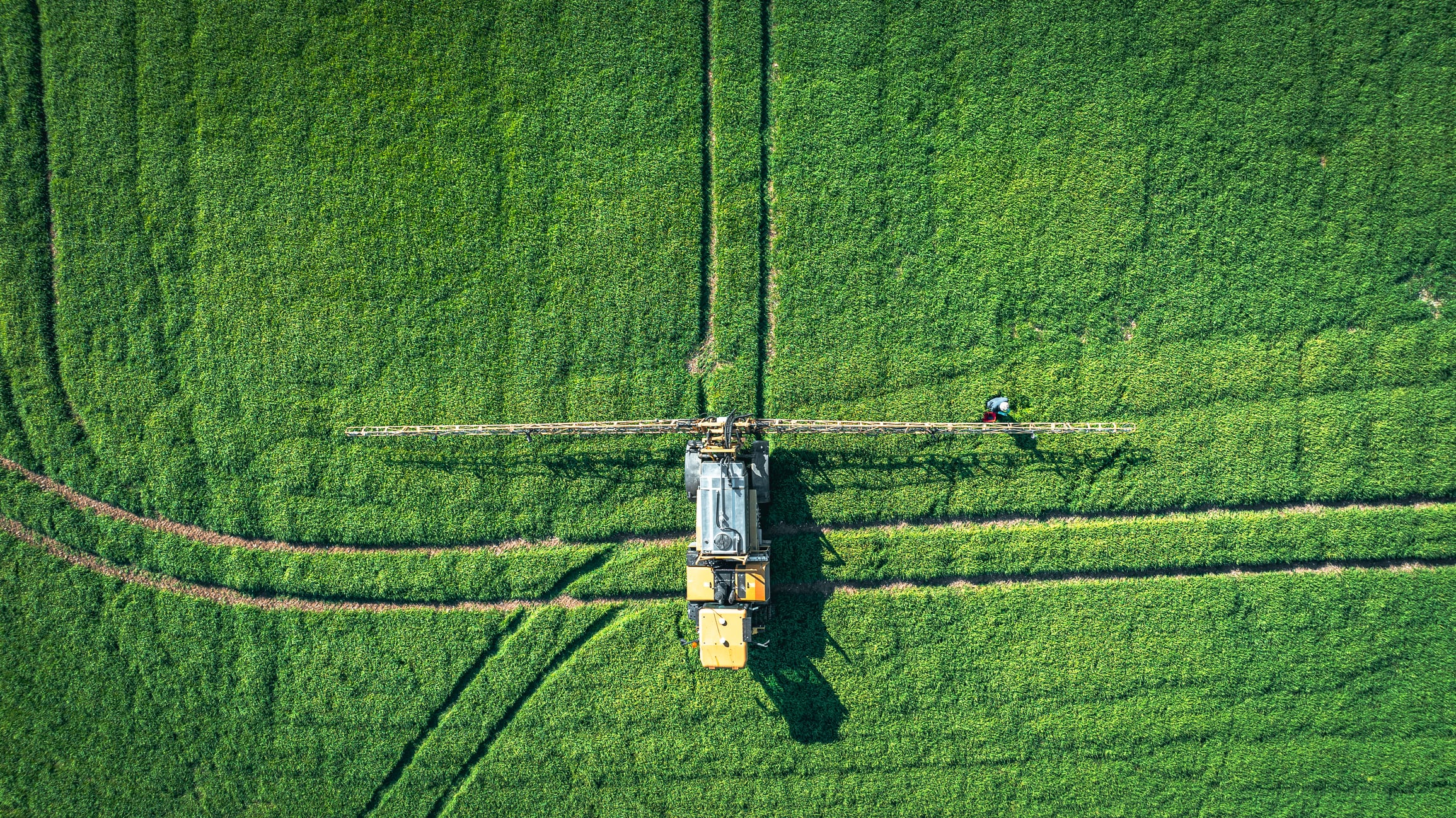 Moa Technology poised to crack bioherbicide conundrum after uncovering new weed control category