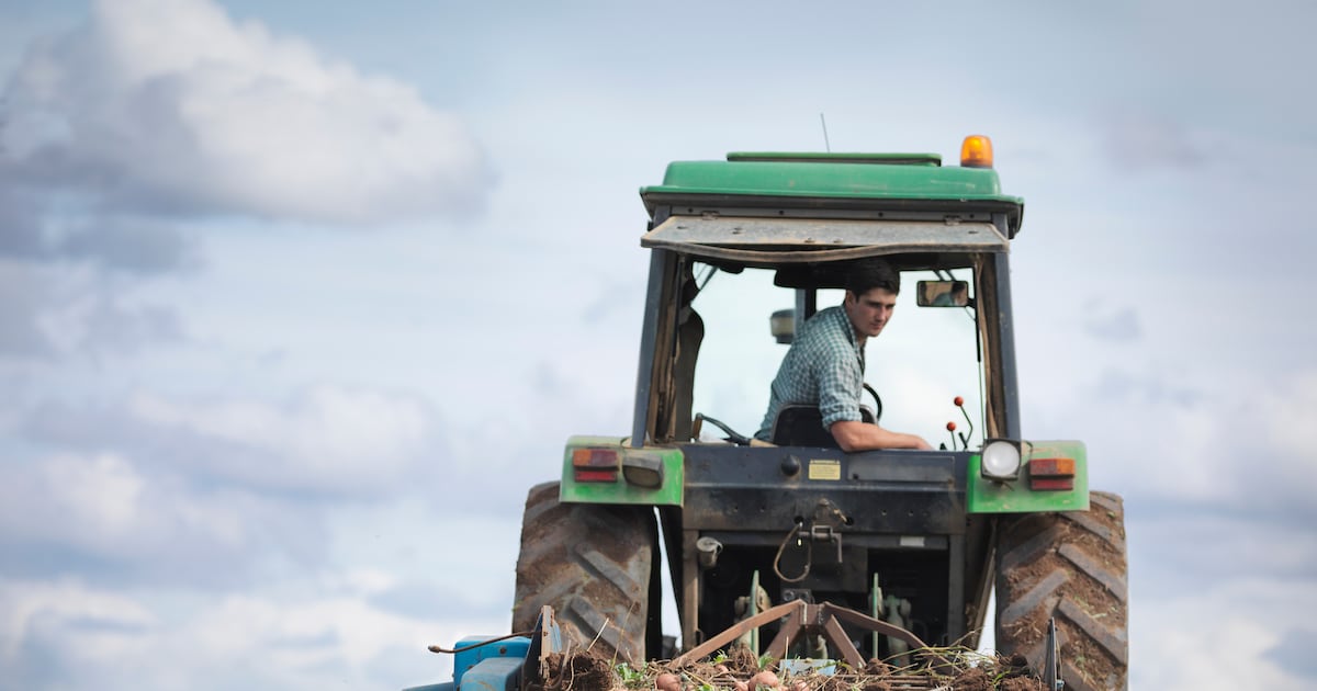 ‘There is no easy answer’: PepsiCo turns to farmer knowledge-sharing to future-proof its potato supply