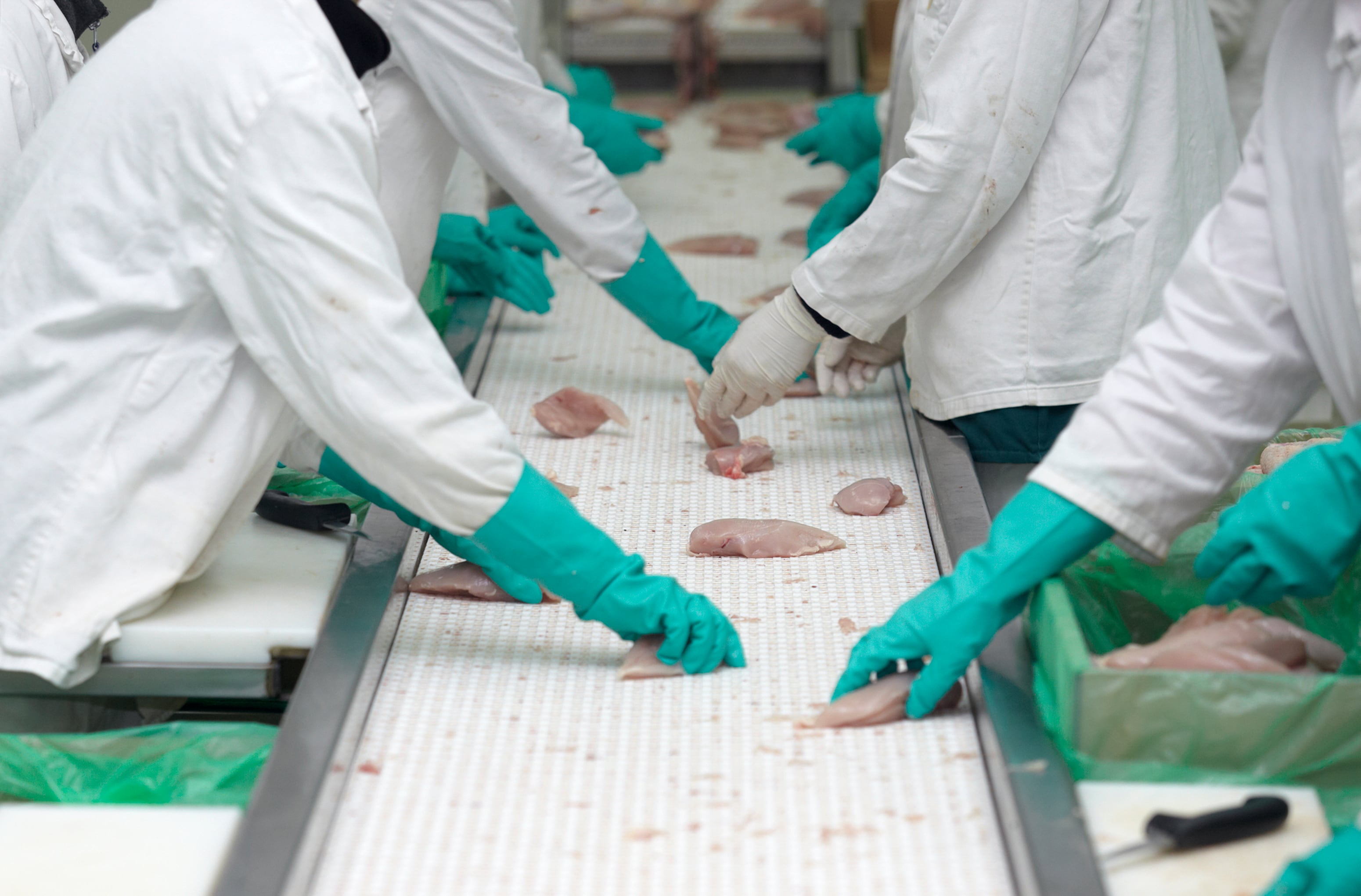 Can upcycled poultry wastewater be used in yeast production?