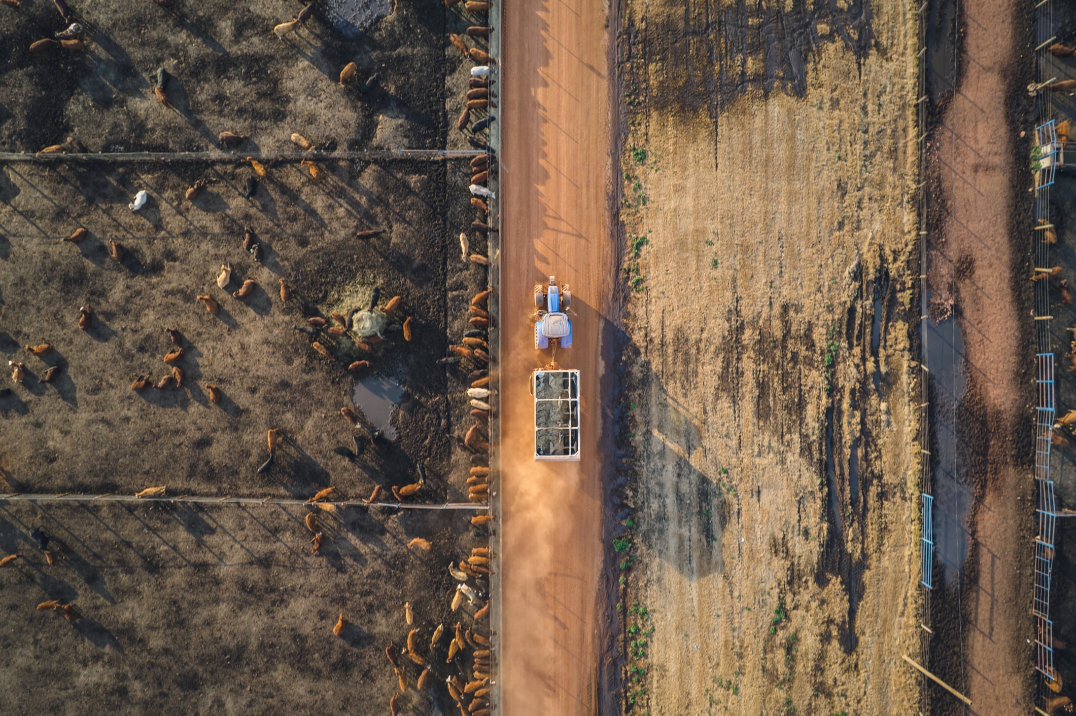Heritable gets $5M for AI crop resilience as Africa emerges as agtech’s next frontier