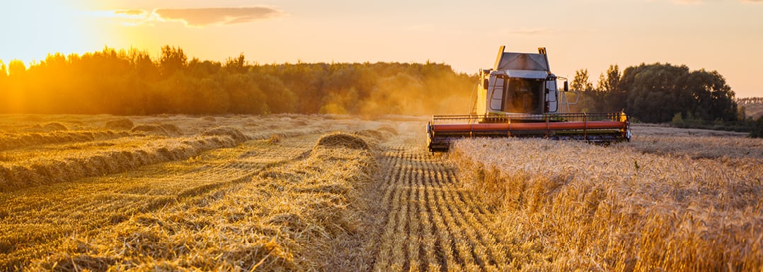 Harvest-2023-A-challenging-year-in-Europe.jpg