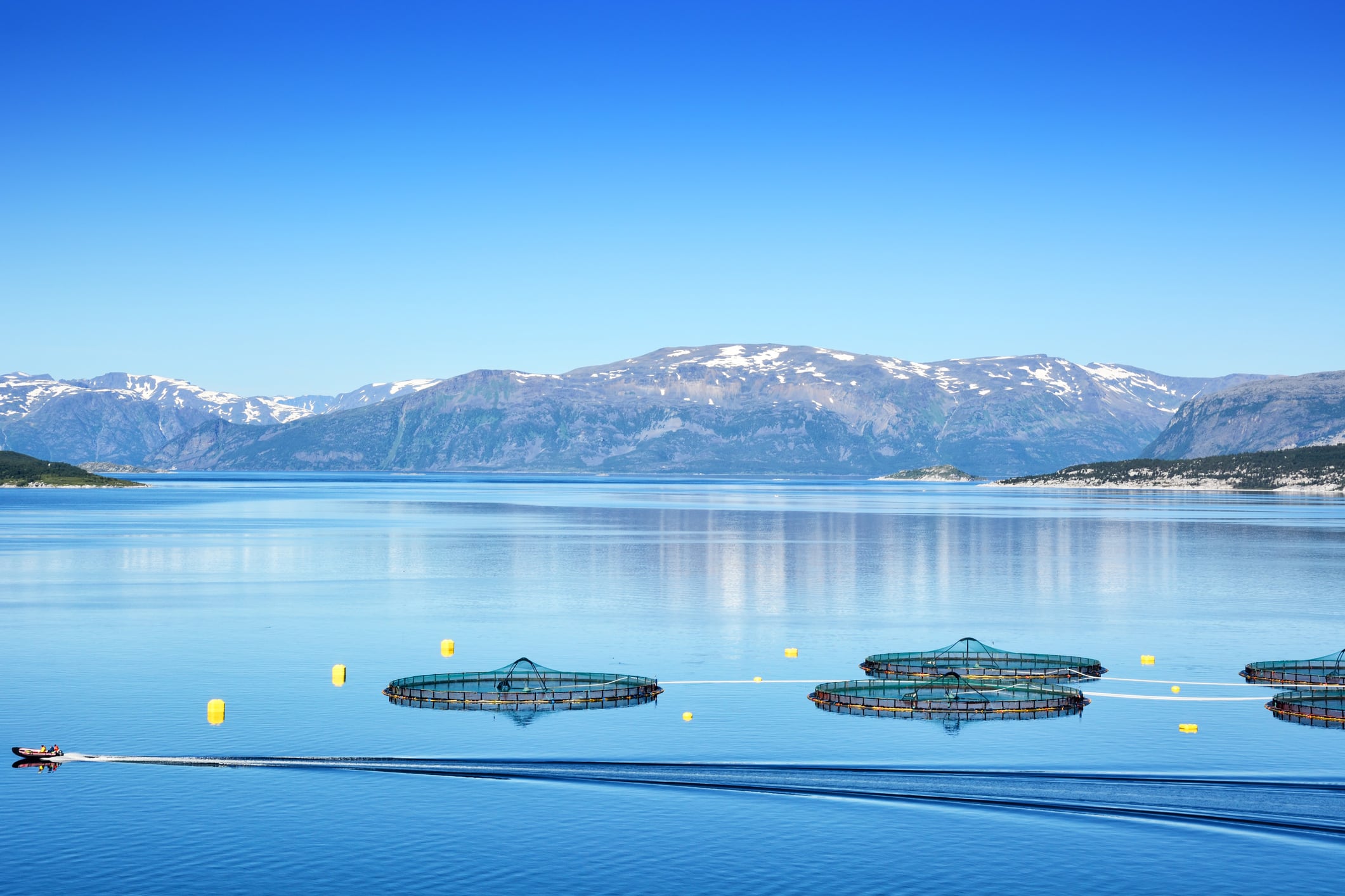 Skretting CEO: 'We are witnessing a significant shift in the aquaculture value chain, transitioning from a short-term operational focus to a long-term vision and strategic contracts.'