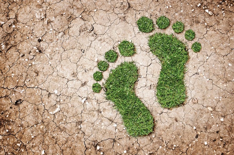 InSoil strengthens position in Europe’s carbon credit market with global verification