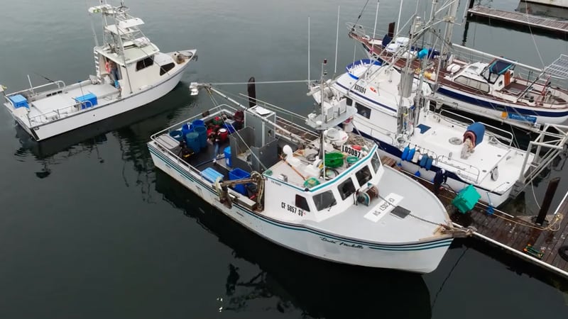 Seafood automation start-up Shinkei Systems hooks $22m in Series A funding