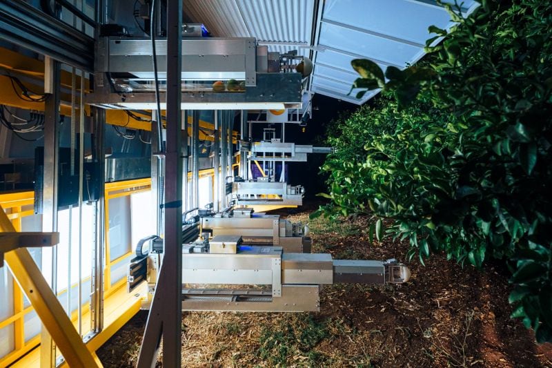 Nanovel has already conducted validation work in California in partnership with the Citrus Research Board and is running trials across orchards in Israel, Europe and the United States.